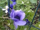 20140413_174558