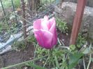 20140413_174716