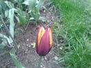 20140413_174725