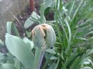 20140413_174733