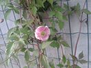 20140413_175045