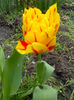IMG_20140413_130814
