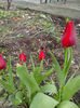 IMG_20140413_130858