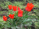IMG_20140413_130918