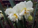 IMG_20140413_130944