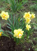 IMG_20140413_131031