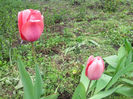 IMG_20140413_131106