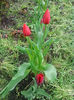 IMG_20140413_131219