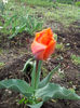 IMG_20140413_131534