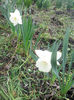 IMG_20140413_131548
