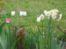 DSCN1150_006