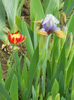 DSCN1154_010