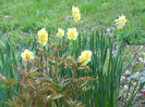 DSCN1155_011