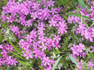 DSCN1156_012