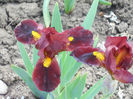 DSCN1158_014