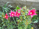 DSCN1161_017