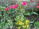 DSCN1166_022