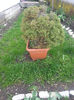 20140413_121104