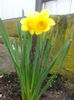 20140413_121221