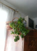 20140413_121254