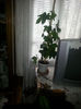 20140413_121322
