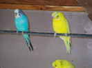 DSCN5763