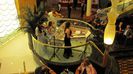Auditie de muzica culta