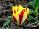 DSC01950
