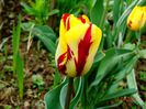 DSC01918