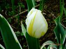 DSC01960