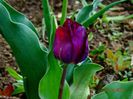 DSC01949