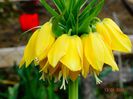 DSC01956