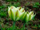 DSC01955