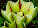 DSC01961