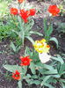IMG_20140414_150206