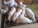 IMG-20140306-00757