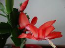 DSC00346