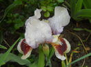 DSCN1167_001