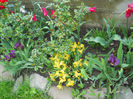 DSCN1174_008