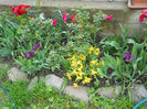 DSCN1175_009