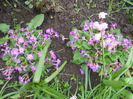 DSCN1178_012