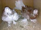 Picture 036