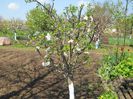Copy of Picture 055