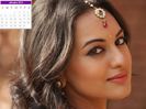 Sonakshi-Sinha-Calendar-January-2014