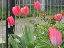 DSC09830