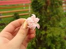 DSC09839