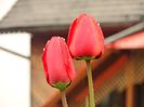 DSC09844