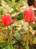 DSC09846