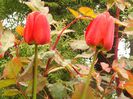 DSC09847