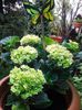 20140415_153634